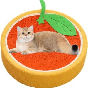 Orange Round Cat Bed - Fruit Shaped Sisal Wear-Resistant Scratcher