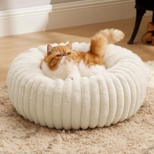 Cat beds for Indoor Cats - Donut Dog Beds for Small Dogs with Corduroy Fleece & Anti Slip Bottom, Faux Fur Pet Beds with Washable Removable Cover, Cream, 20x20x6 inches