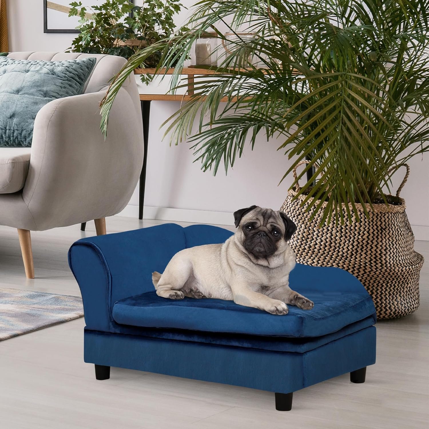 Luxury Fancy Dog Couch with Hidden Storage, Small Dog Sofa Bed with 2" Soft Foam, Modern Pet Furniture for Puppies & Little Breeds, Blue - Image 2
